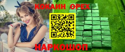 бошки Кингисепп