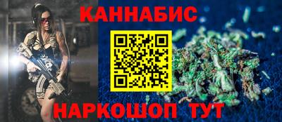 бошки Кингисепп