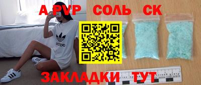 бошки Кингисепп