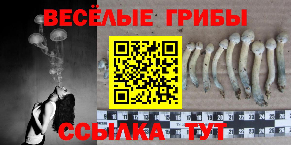Краснодар  Галлюциногенные грибы Cubensis  Вход с VPN 
