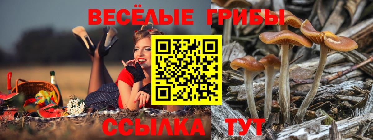 Кокаин  NBOMe  Мефедрон   Вход с VPN  Краснодар  Марихуана  ЭКСТАЗИ  ГАШИШ 